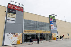 Owl Image